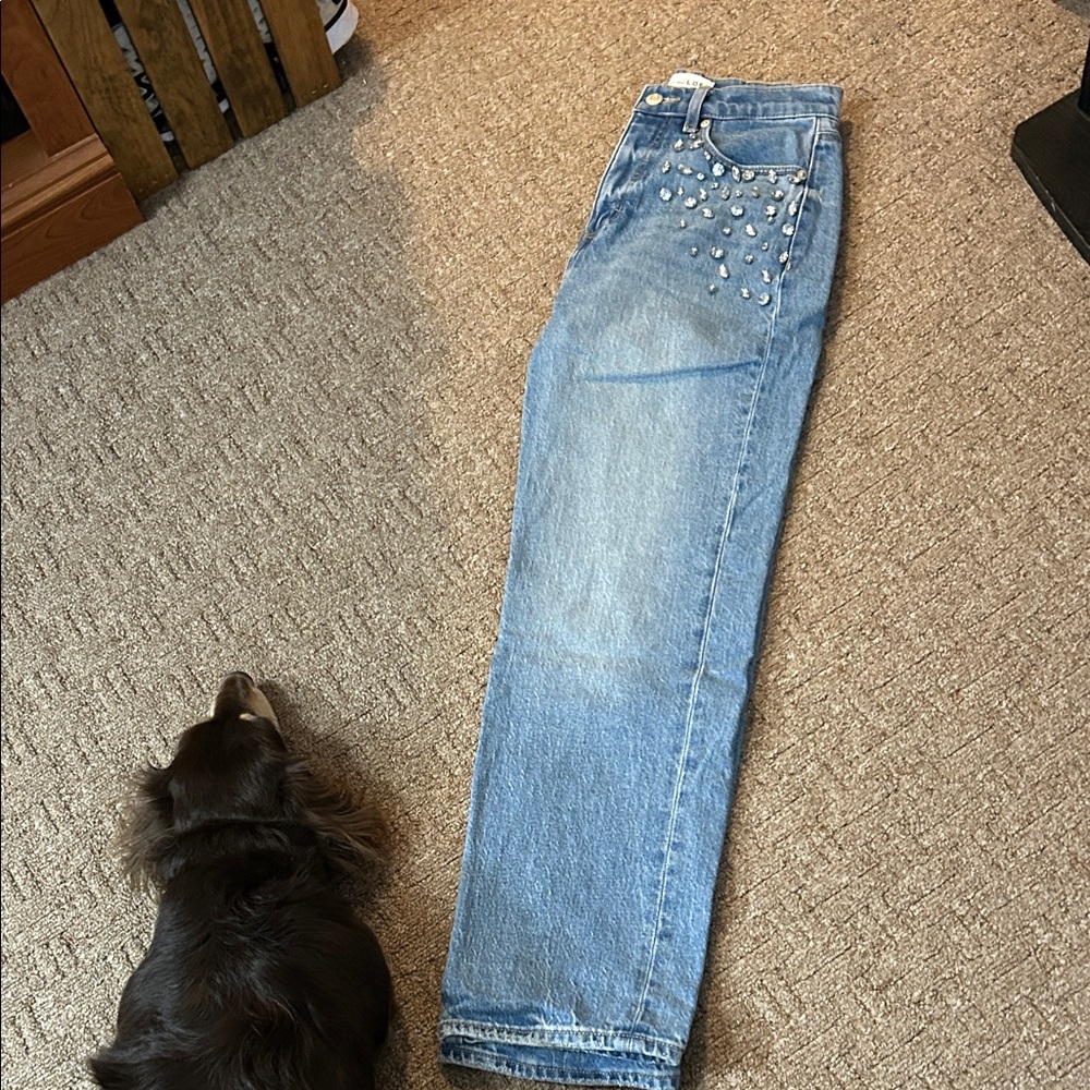 LOFT Light Blue Straight Leg Jeans with Embellishments